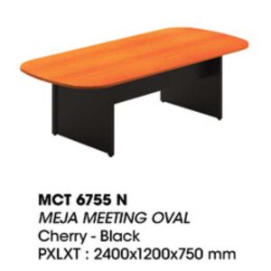 MEJA MEETING MCT 6755 N MURANO